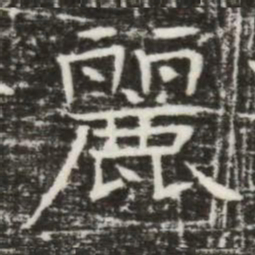 麗书法图片
