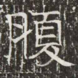 腹书法图片