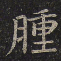 司马光肿书法图片