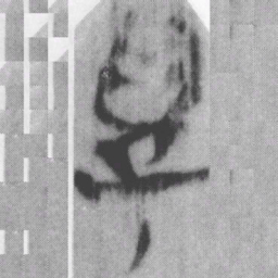 學书法图片