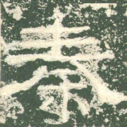 秦书法图片