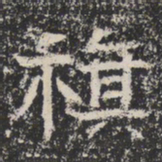 魏碑旗书法图片