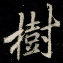 李邕樹书法图片