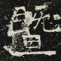 魏碑暨书法图片