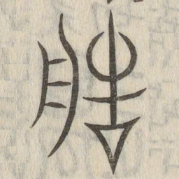 说文解字造书法图片