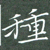 周浩忠种书法图片