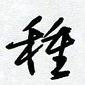 崔伦强种书法图片