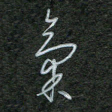 韩录涛气书法图片