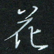 蔚陆军花书法图片