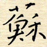 权洪岗苏书法图片
