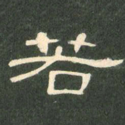 若书法图片