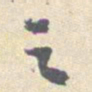 陈绎曾侵书法图片