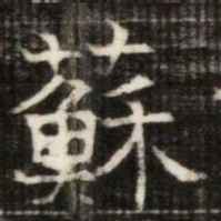 蘇书法图片
