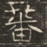 蕃书法图片