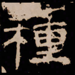種书法图片