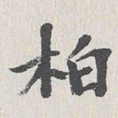 柏书法图片