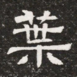 葉书法图片