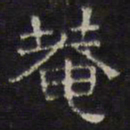文征明庵书法图片