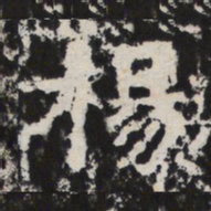 楊书法图片