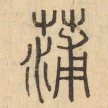 蒲书法图片