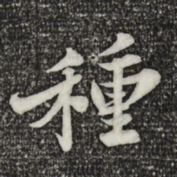 苏轼种书法图片