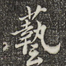 林存瑞艺书法图片
