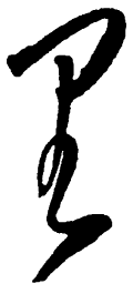 毛泽东里书法图片