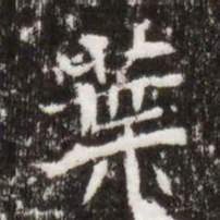 葉书法图片