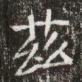 茲书法图片