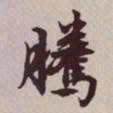 文征明腾书法图片
