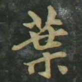 赵孟頫叶书法图片