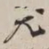 谢稚柳尤书法图片