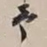 谢稚柳予书法图片
