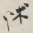 谢稚柳怵书法图片