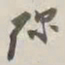 谢稚柳弥书法图片