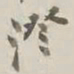 谢稚柳澄书法图片