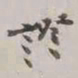 谢稚柳证书法图片