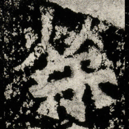荥书法图片