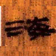 北大汉简海书法图片