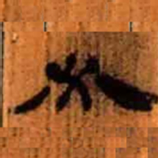 北大汉简必书法图片