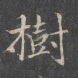 赵孟頫树书法图片