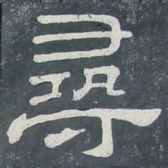 寻书法图片