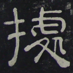 据书法图片