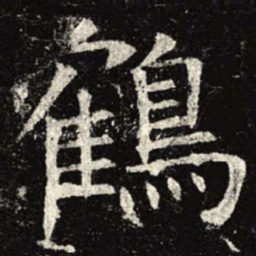 鹤书法图片