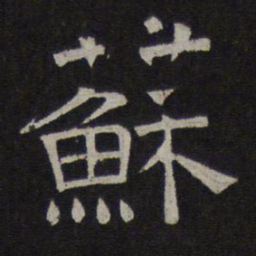 苏书法图片