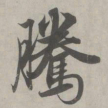 赵孟頫腾书法图片