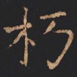 张旭朽书法图片