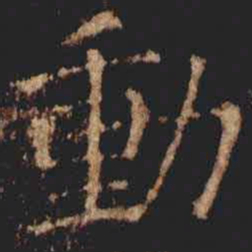 张旭動书法图片