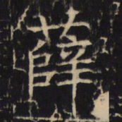 薛书法图片