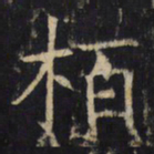 柏书法图片